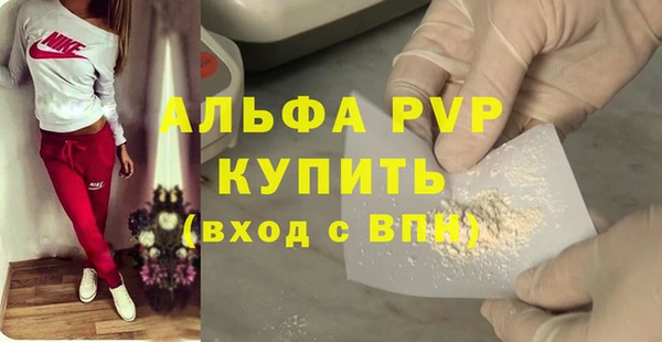 индика Переславль-Залесский