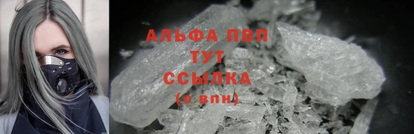 индика Переславль-Залесский