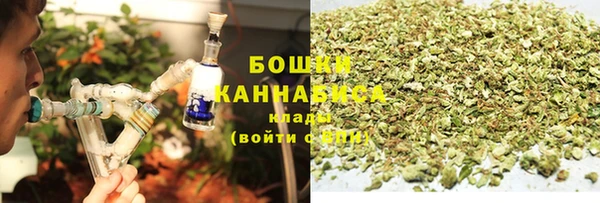 2c-b Пестово