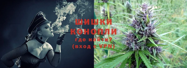 ГАЛЛЮЦИНОГЕННЫЕ ГРИБЫ Остров