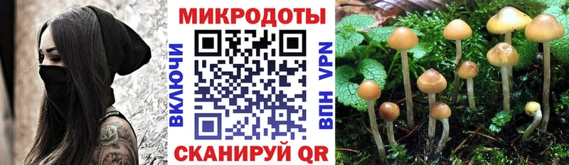 Псилоцибиновые грибы GOLDEN TEACHER  Арсеньев 