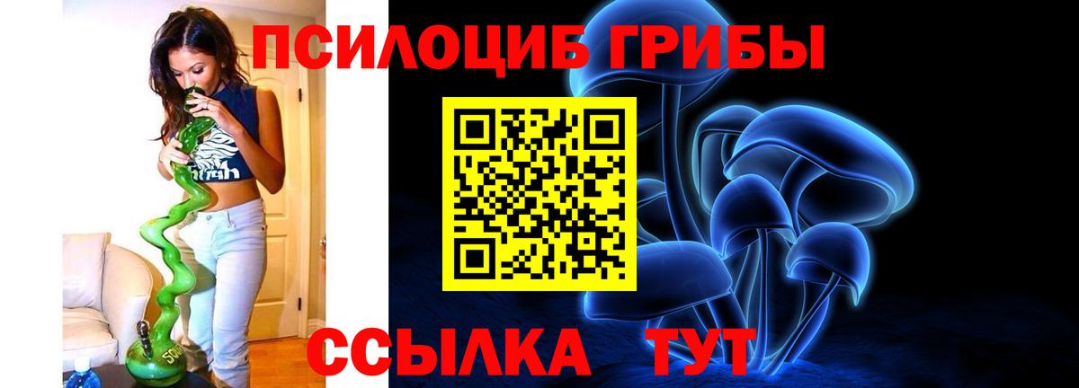 Галлюциногенные грибы Magic Shrooms  где купить наркоту  Арсеньев 